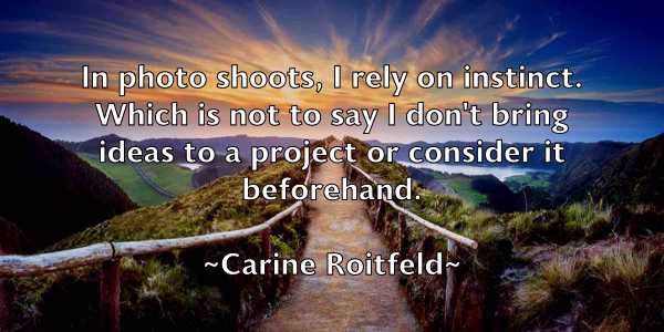 /images/quoteimage/carine-roitfeld-121450.jpg