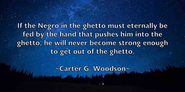 /images/quoteimage/carter-g-woodson-127395.jpg