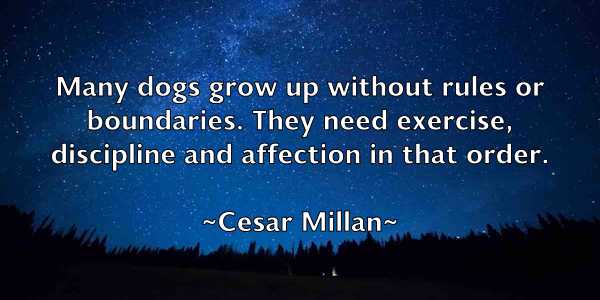 /images/quoteimage/cesar-millan-131149.jpg