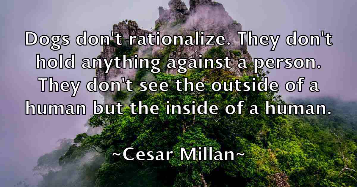 /images/quoteimage/cesar-millan-fb-131138.jpg