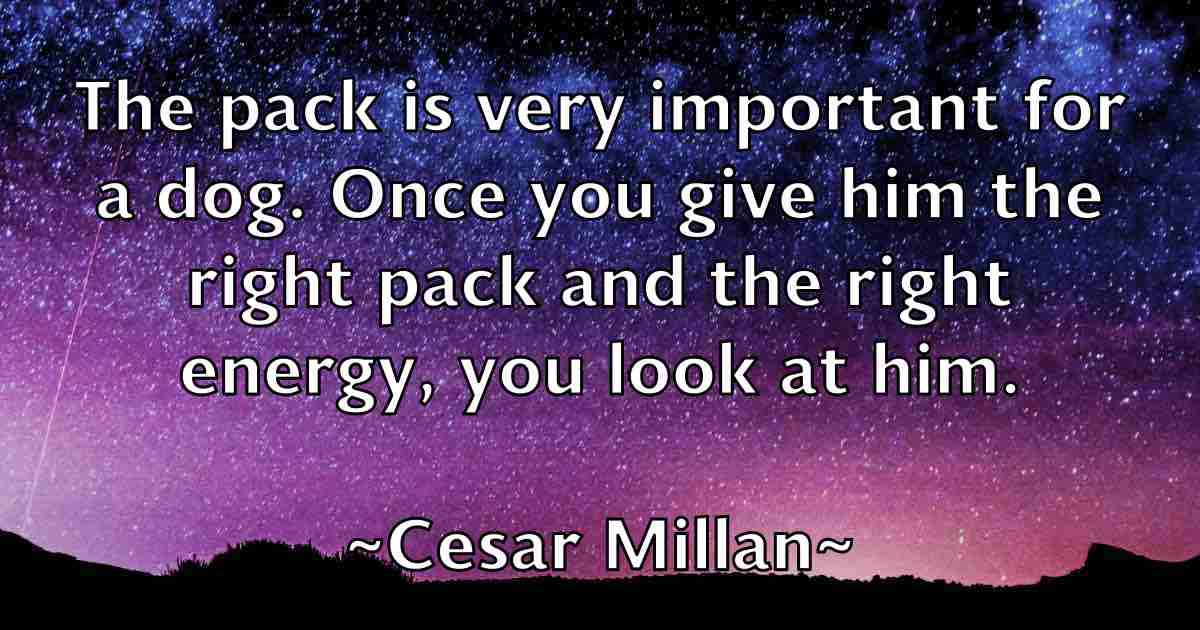 /images/quoteimage/cesar-millan-fb-131163.jpg