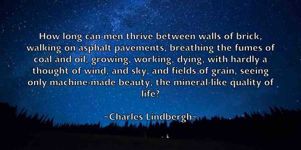 /images/quoteimage/charles-lindbergh-135788.jpg