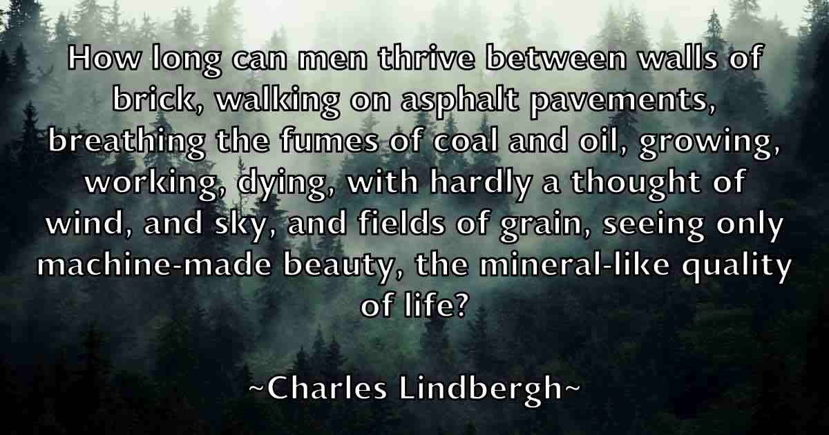 /images/quoteimage/charles-lindbergh-fb-135788.jpg