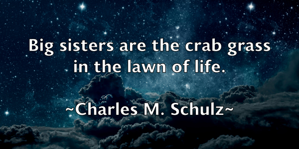 /images/quoteimage/charles-m-schulz-135876.jpg