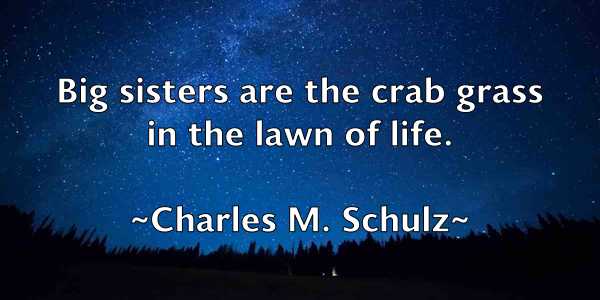 /images/quoteimage/charles-m-schulz-135876.jpg