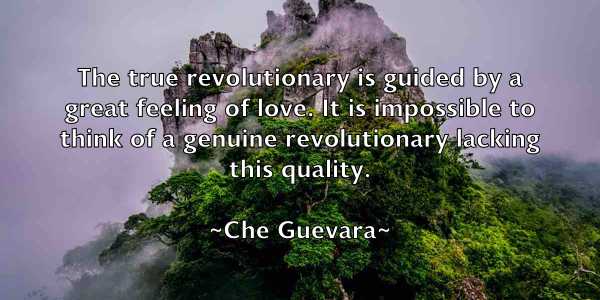 /images/quoteimage/che-guevara-139544.jpg