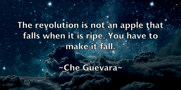 /images/quoteimage/che-guevara-139545.jpg