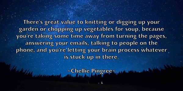 /images/quoteimage/chellie-pingree-139650.jpg