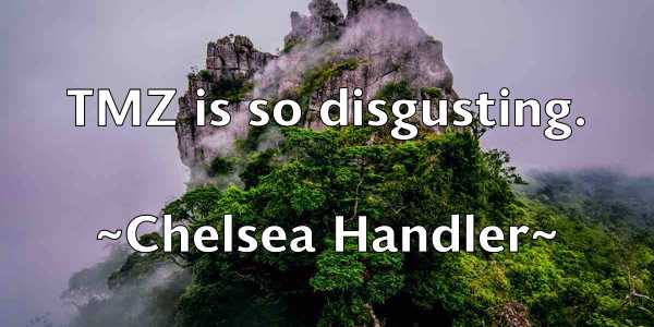 /images/quoteimage/chelsea-handler-139820.jpg