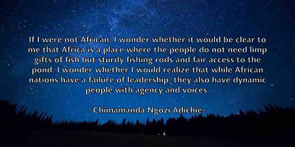 /images/quoteimage/chimamanda-ngozi-adichie-141494.jpg