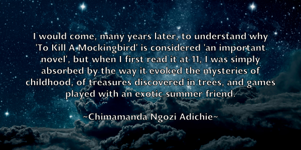 /images/quoteimage/chimamanda-ngozi-adichie-141497.jpg