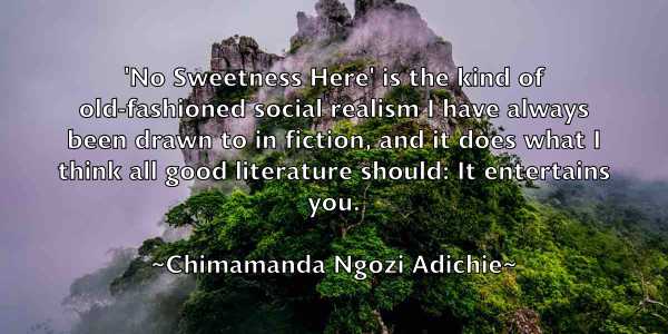 /images/quoteimage/chimamanda-ngozi-adichie-141531.jpg