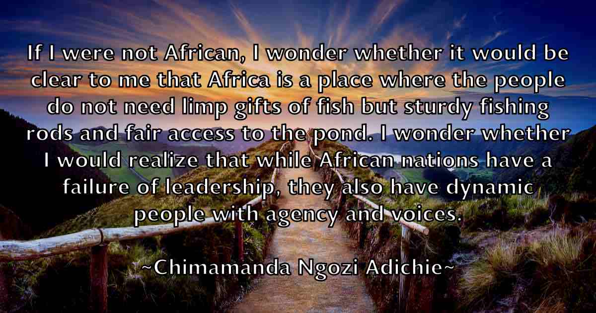 /images/quoteimage/chimamanda-ngozi-adichie-fb-141494.jpg
