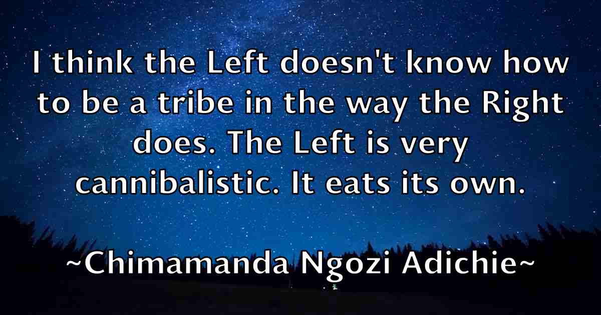 /images/quoteimage/chimamanda-ngozi-adichie-fb-141558.jpg