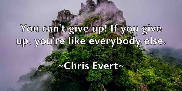 /images/quoteimage/chris-evert-144219.jpg