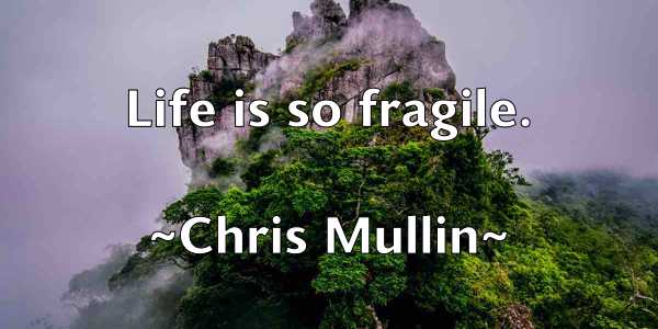 /images/quoteimage/chris-mullin-146059.jpg