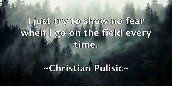 /images/quoteimage/christian-pulisic-149631.jpg