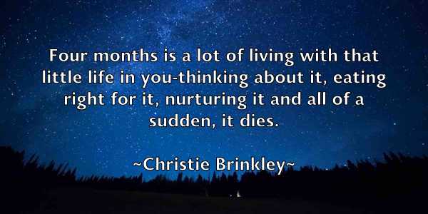 /images/quoteimage/christie-brinkley-150074.jpg