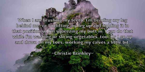 /images/quoteimage/christie-brinkley-150111.jpg