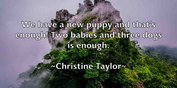 /images/quoteimage/christine-taylor-151657.jpg