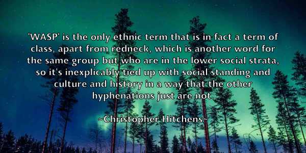 /images/quoteimage/christopher-hitchens-152550.jpg
