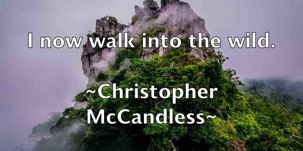 /images/quoteimage/christopher-mccandless-153076.jpg