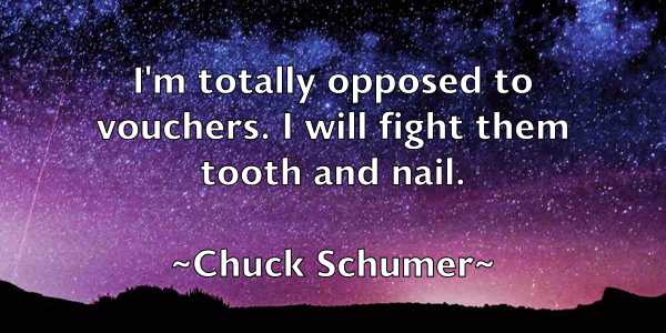 /images/quoteimage/chuck-schumer-155244.jpg