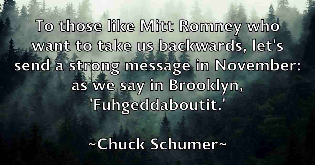 /images/quoteimage/chuck-schumer-fb-155216.jpg