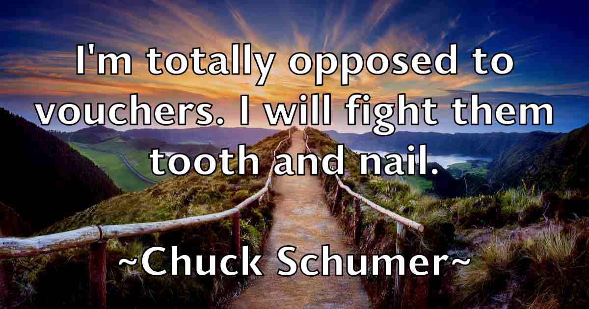 /images/quoteimage/chuck-schumer-fb-155244.jpg