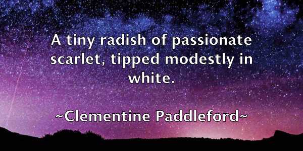 /images/quoteimage/clementine-paddleford-159216.jpg