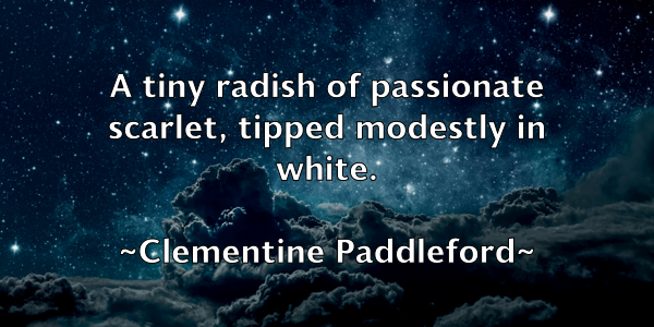 /images/quoteimage/clementine-paddleford-159216.jpg