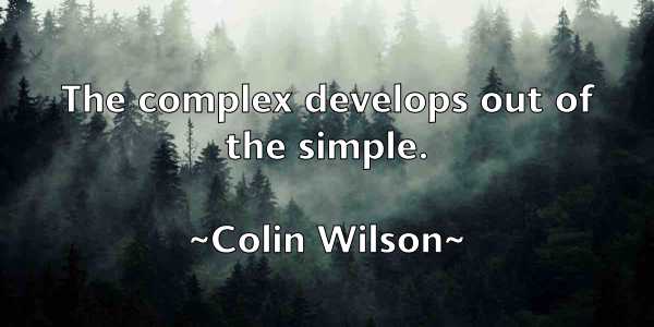 /images/quoteimage/colin-wilson-162513.jpg