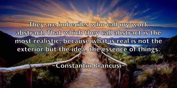 /images/quoteimage/constantin-brancusi-164770.jpg