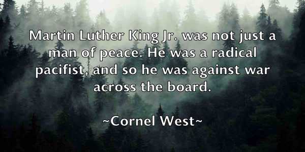 /images/quoteimage/cornel-west-165655.jpg