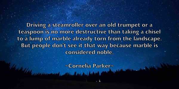 /images/quoteimage/cornelia-parker-165729.jpg