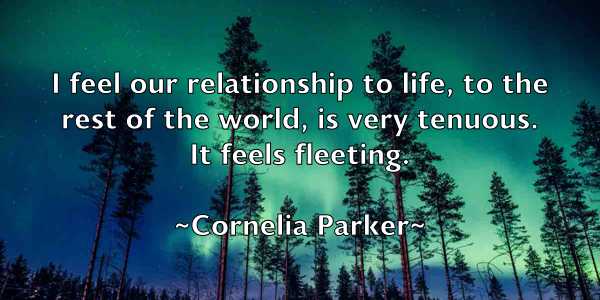 /images/quoteimage/cornelia-parker-165732.jpg