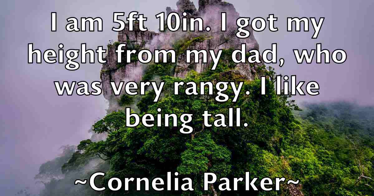/images/quoteimage/cornelia-parker-fb-165739.jpg