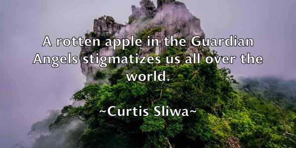 /images/quoteimage/curtis-sliwa-169400.jpg