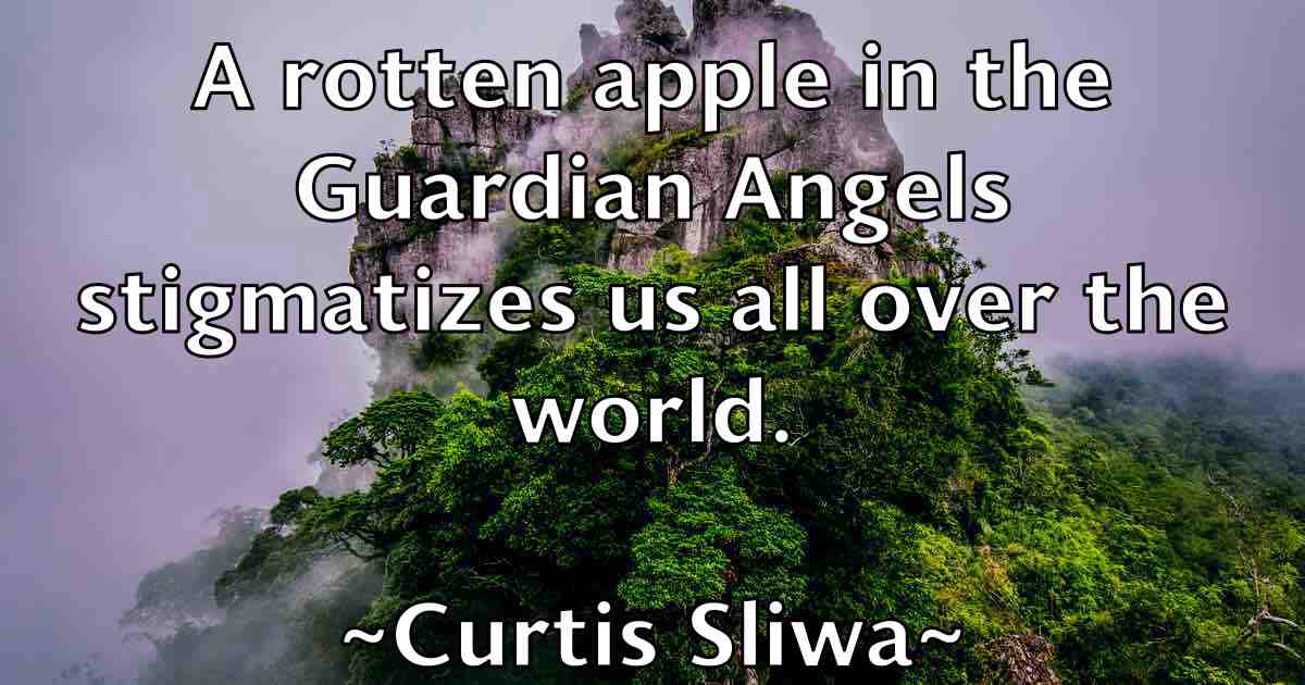 /images/quoteimage/curtis-sliwa-fb-169400.jpg