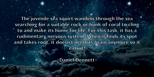 /images/quoteimage/daniel-dennett-177399.jpg