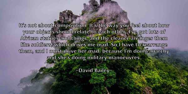 /images/quoteimage/david-bailey-185712.jpg