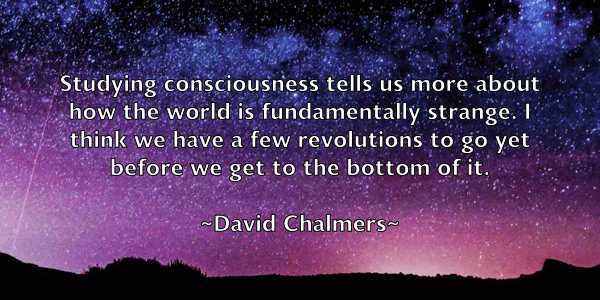 /images/quoteimage/david-chalmers-187355.jpg
