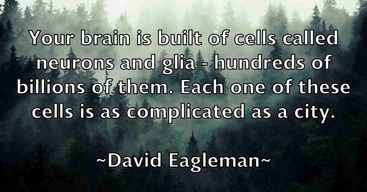 /images/quoteimage/david-eagleman-fb-188673.jpg