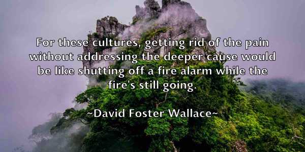 /images/quoteimage/david-foster-wallace-189085.jpg