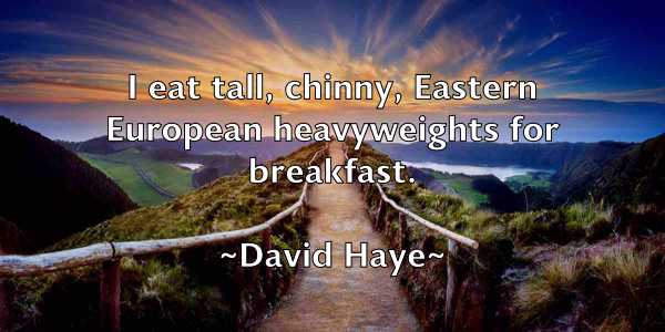 /images/quoteimage/david-haye-190411.jpg