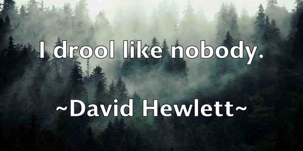 /images/quoteimage/david-hewlett-190668.jpg