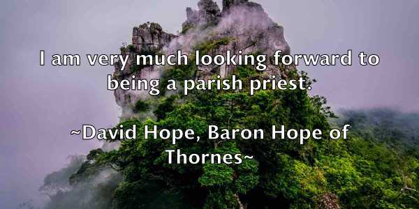 /images/quoteimage/david-hope-baron-hope-of-thornes-190950.jpg