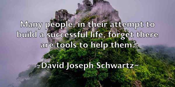 /images/quoteimage/david-joseph-schwartz-191465.jpg