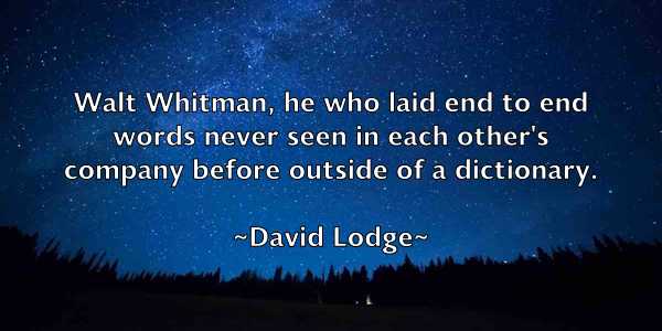 /images/quoteimage/david-lodge-192412.jpg