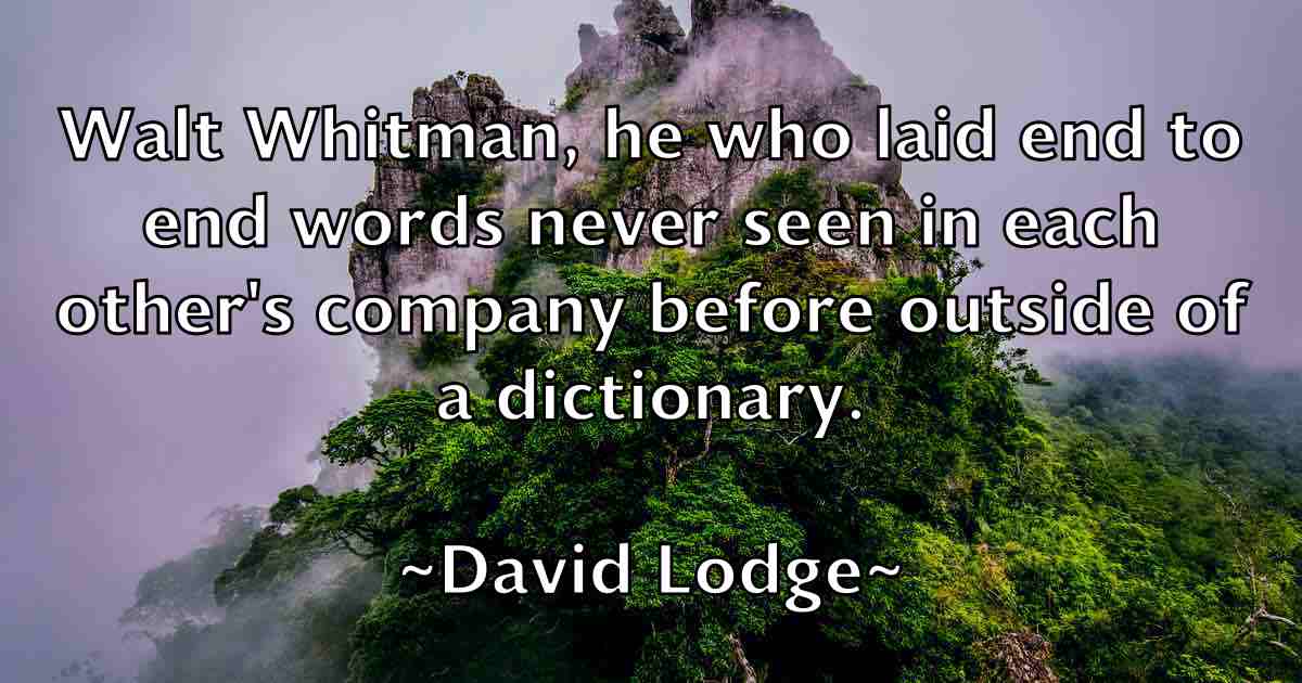 /images/quoteimage/david-lodge-fb-192412.jpg